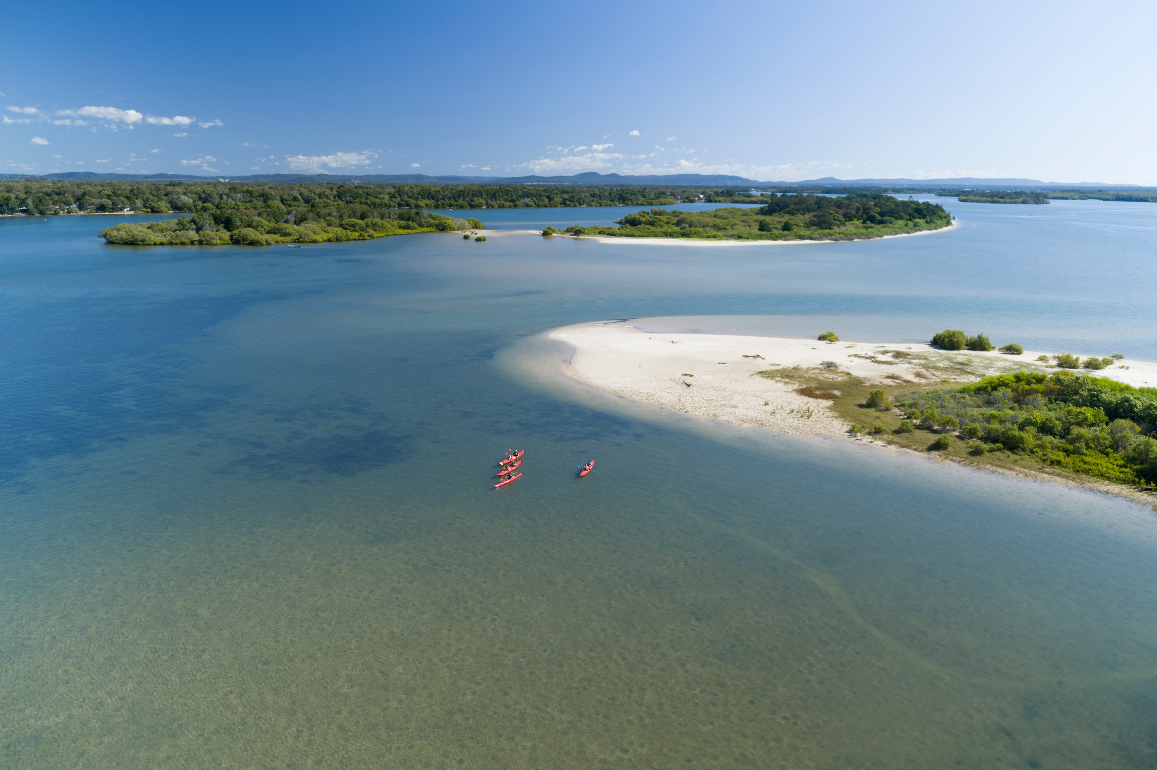 Pelican seen from a kayak on the Yamba river estuary